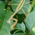 201109190918-DSC02731.jpg