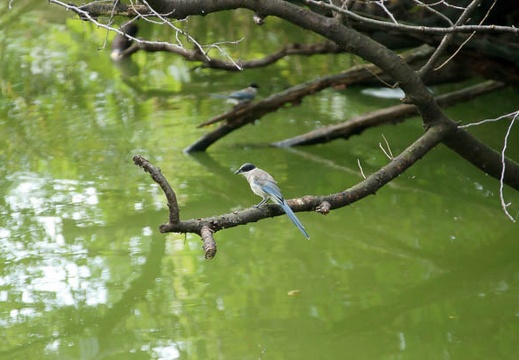 201109190937-DSC02788.jpg