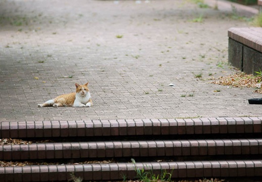 201109190948-DSC02812.jpg