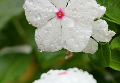 201109201133-DSC03053.jpg