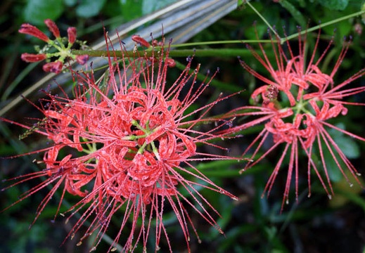 201109201154-DSC03094.jpg