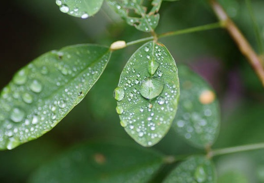 201109201243-DSC03170.jpg