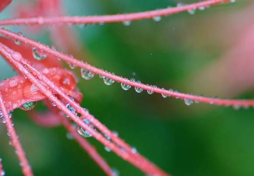 201109201253-DSC03205.jpg