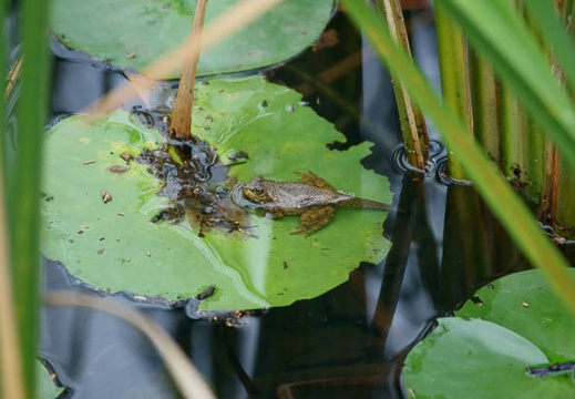 201109201558-DSC03317.jpg