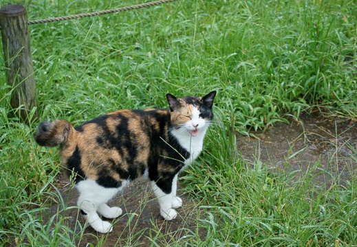 201109201623-DSC03370.jpg