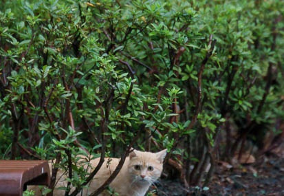 201109201636-DSC03416.jpg