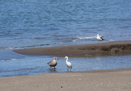 201109221228-DSC03643.jpg
