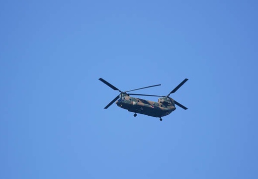 201109221235-DSC03666.jpg