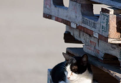 201109221508-DSC04091.jpg