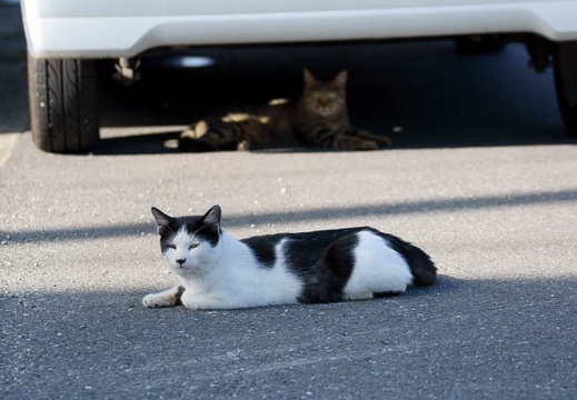 201109221533-DSC04106.jpg