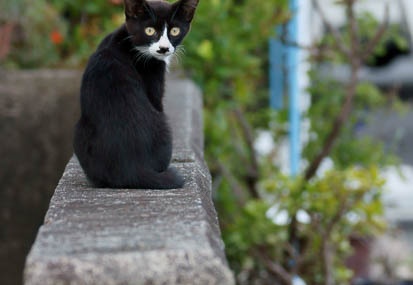 201109221603-DSC04250.jpg