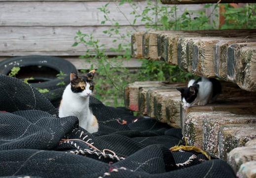 201109221625-DSC04361.jpg