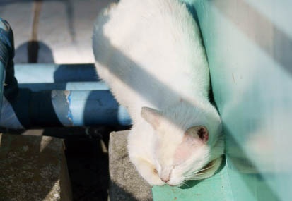 201109240908-DSC04597.jpg