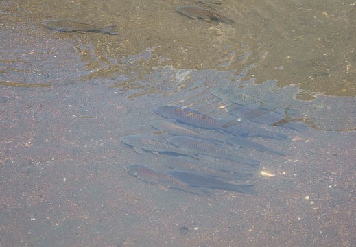 201109241133-DSC04961.jpg