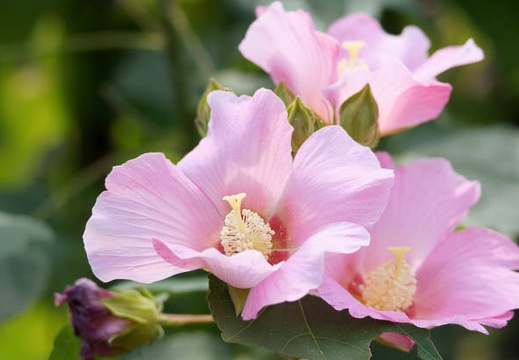 201109241227-DSC05173.jpg