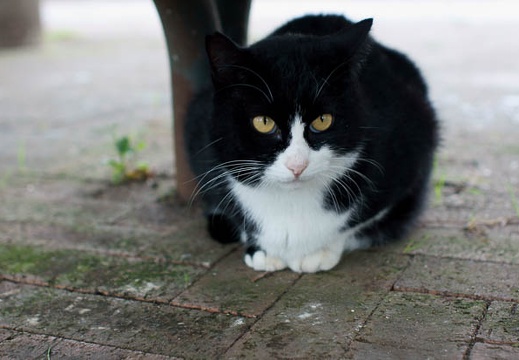 201109261329-DSC05311.jpg