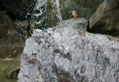201109261410-DSC05363.jpg
