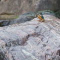 201109261426-DSC05557.jpg