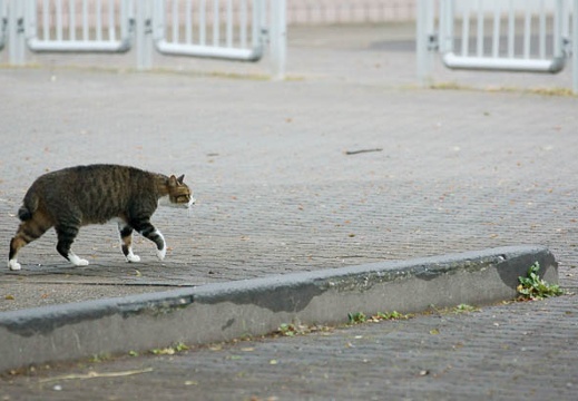 201109261431-DSC05607.jpg