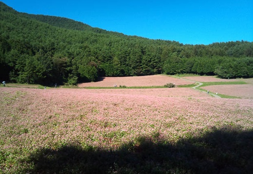 20110927135029-SO-01B.jpg