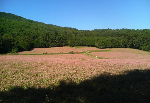 20110927135313-SO902i.jpg