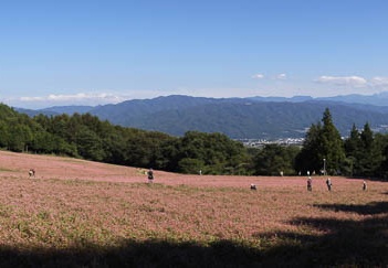 201109271357-DSC05920.jpg