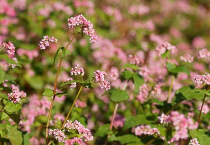 201109271439-DSC06032.jpg