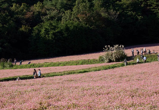 201109271512-DSC06146.jpg