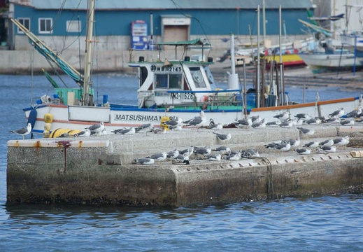 201109301328-DSC07368.jpg