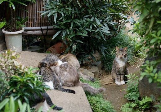 201110011435-DSC07604.jpg