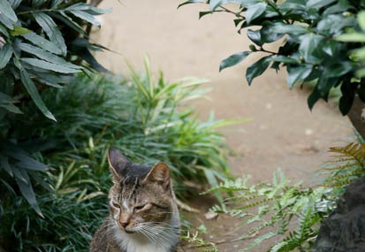 201110011436-DSC07608.jpg