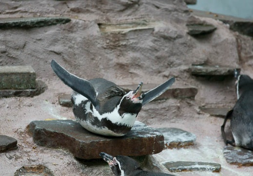 201110011512-DSC07659.jpg