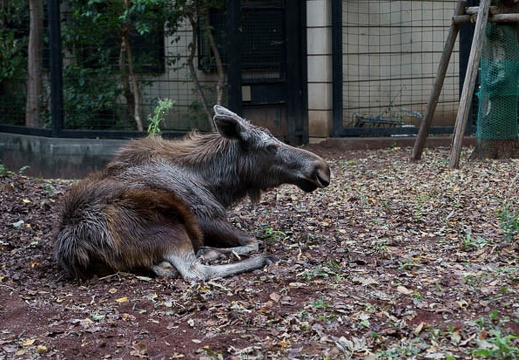 201110011521-DSC07708.jpg
