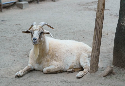 201110011523-DSC07718.jpg