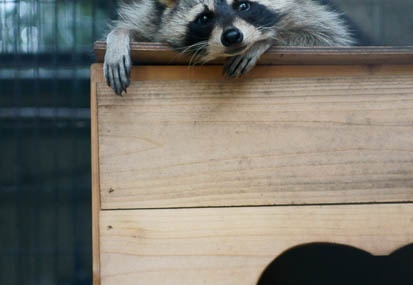 201110011530-DSC07753.jpg