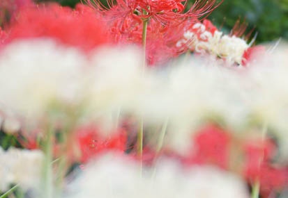 201110011550-DSC07844.jpg