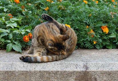201110011636-DSC07973.jpg