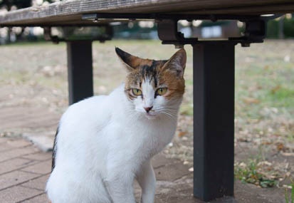 201110011651-DSC07986.jpg