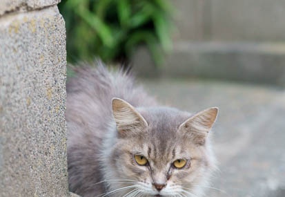 201110011658-DSC07996.jpg