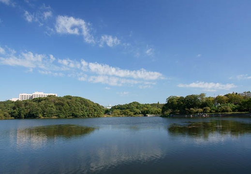 201110040912-DSC08822.jpg