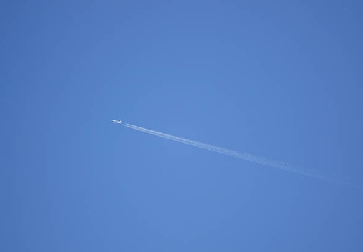 201110040919-DSC08837.jpg