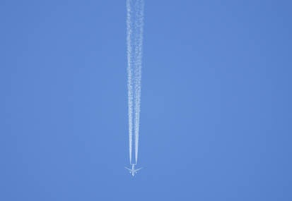 201110041003-DSC08868.jpg