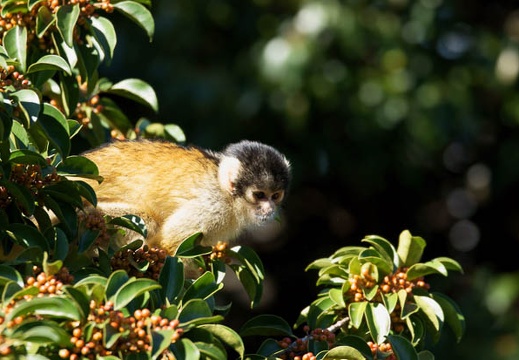 201110061253-DSC09359.jpg