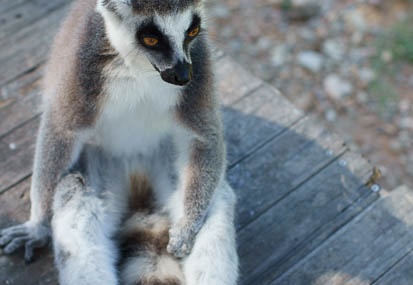 201110061333-DSC09524.jpg