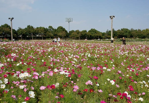 201110071333-DSC00268.jpg