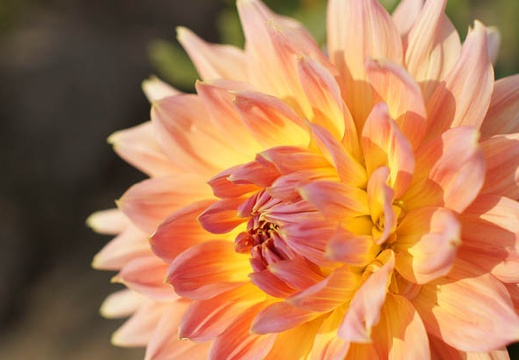 201110071419-DSC00407.jpg