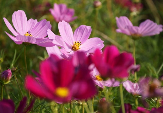 201110071448-DSC00479.jpg