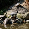201110081051-DSC00842.jpg