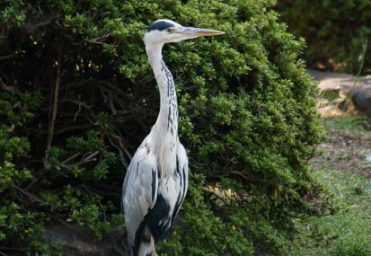 201110081123-DSC00894.jpg
