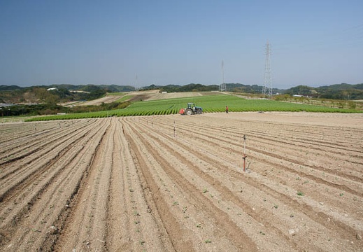 201110081248-DSC00933.jpg